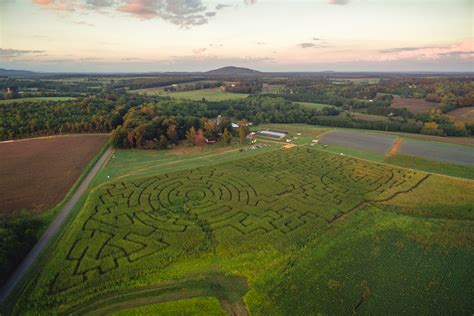 The 2016 Corn Maze - Yoders' Farm