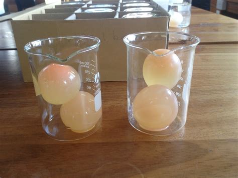 Egg osmosis experiment