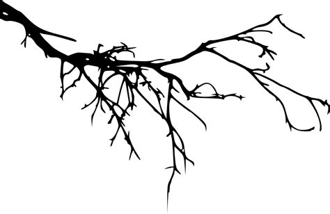 Branch Tree Portable Network Graphics Silhouette Image - tree branch ...