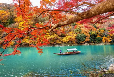 Soak in the sights of the most beautiful places in Japan | KAYAK