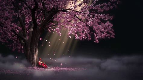 Sakura Tree Wallpapers - Top Free Sakura Tree Backgrounds - WallpaperAccess