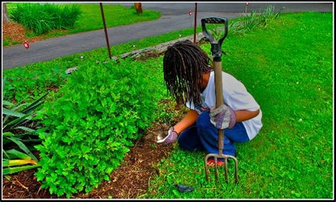 Celebrate Life! » Gardening: The Benefits of Mulching: