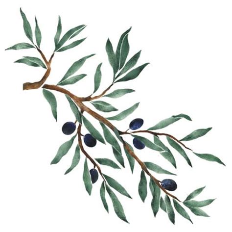 Olive Tree Branch Wall Stencil SKU #3031 by Designer Stencils - Walmart.com