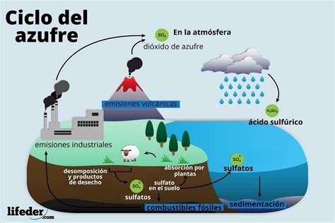 Ciclo del azufre: características, etapas, importancia