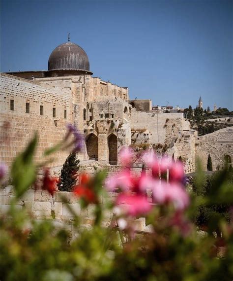 Temple Mount, Jerusalem : r/Israel