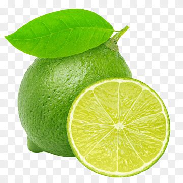 Lime png images | PNGWing