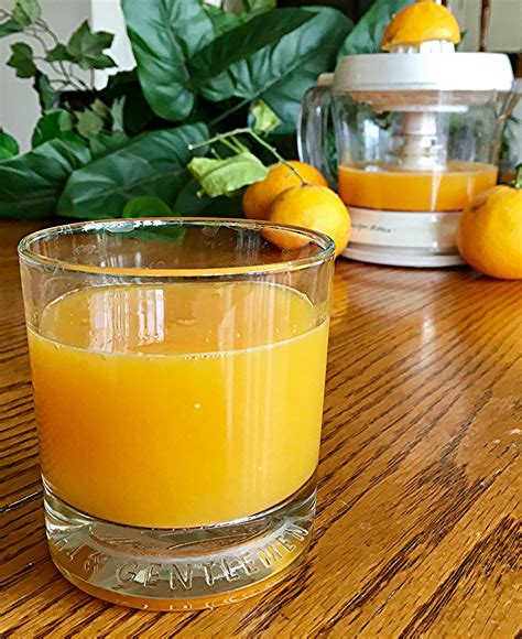 Fresh Orange Juice Recipe