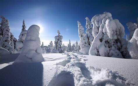 Winterscape Wallpapers - Wallpaper Cave