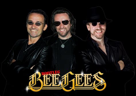 Bee Gees Tribute Band - Bootleg Bee Gees - Shout Entertainment