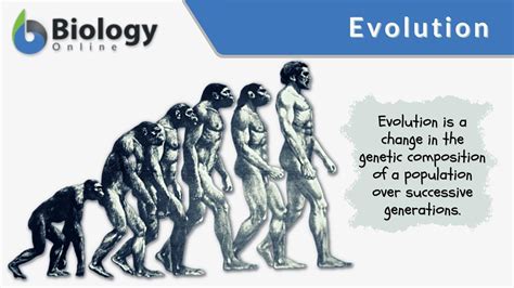 Evolution Definition and Examples - Biology Online Dictionary