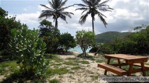 Camping at Flamenco Beach on Culebra | PRDayTrips