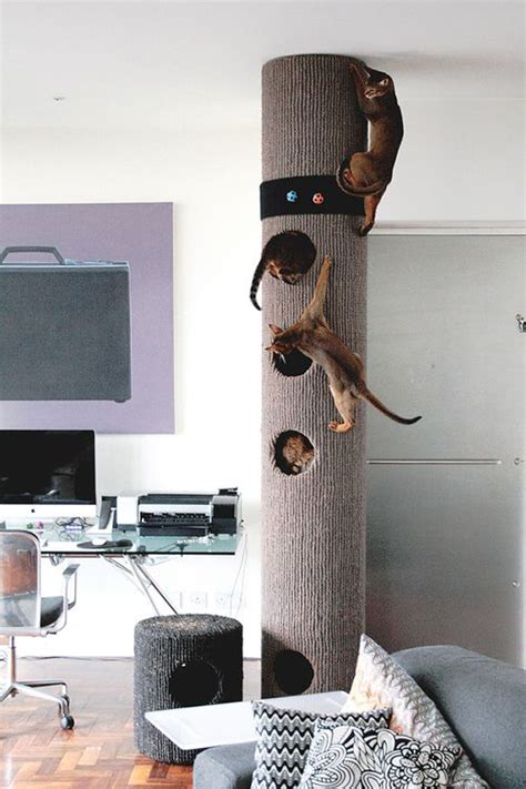 Cat Room Inspiration: Sweet Surprise For Your Furry Friend | HomeMydesign