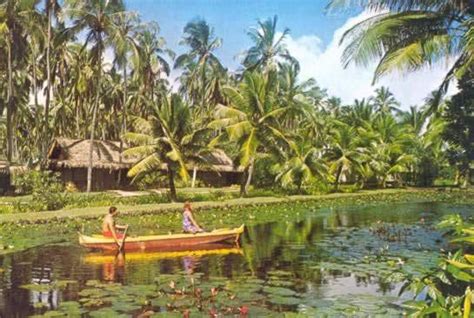 Coco Palms Resort, Kauai, circa 1968 : r/KauaiLounge