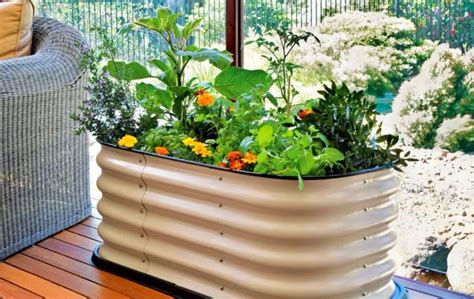 5 BEST METAL RAISED GARDEN BEDS – Bed Gardening