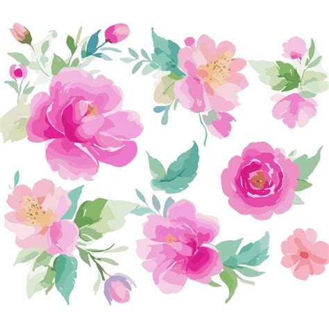 Premium Vector | Floral design vector on a white background