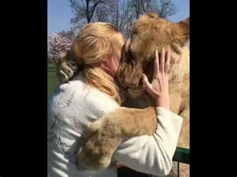 Lions hugging a woman | Lions hugging, Animal hugs, Funny animal videos