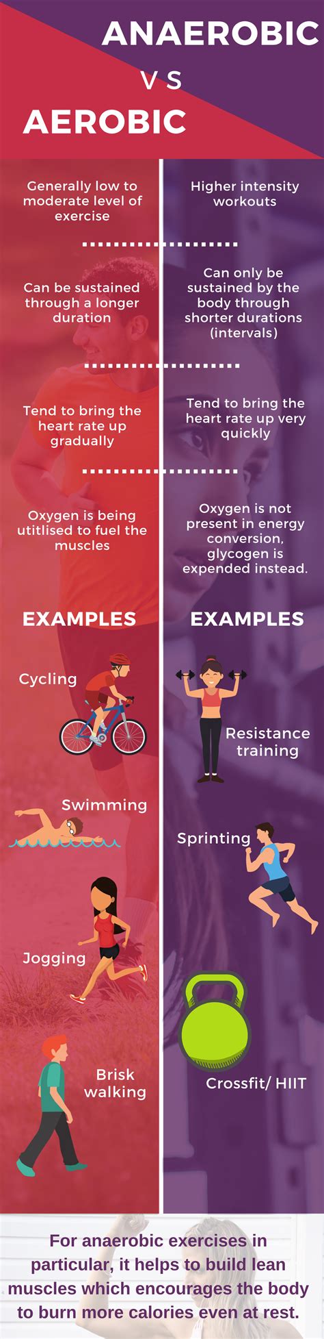 Aerobic vs Anaerobic - Fitivate