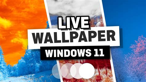 Download: How to Add a Live Wallpaper in Windows 11 - Animated ...