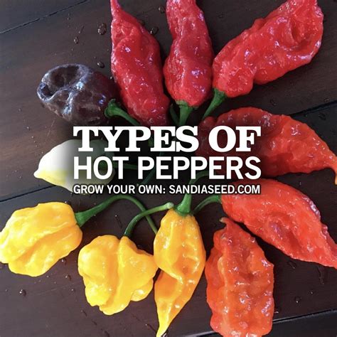 Types of hot peppers – Artofit