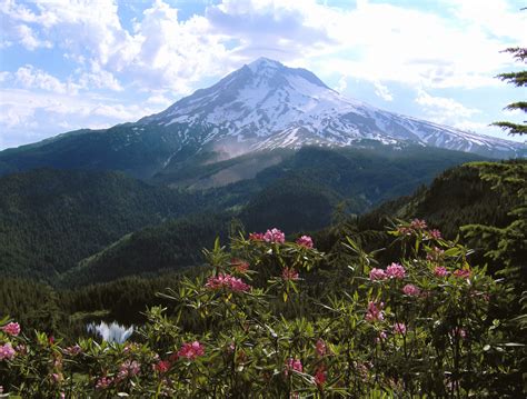 Best Hikes in Mount Hood National Forest (OR) | Trailhead Traveler