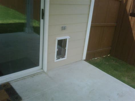 Your Dog's lifestyle made easy with Wall dog door - house-ideas.org