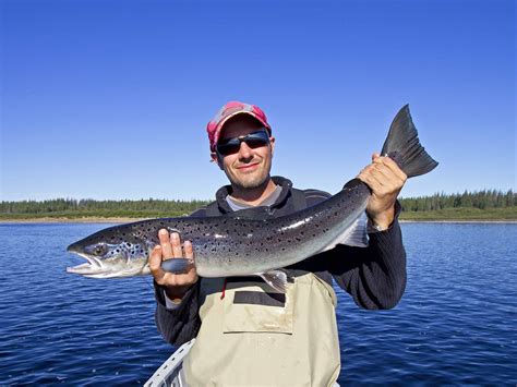 Salmon Fishing on Lake Superior: A Complete Guide | Gary Spivack