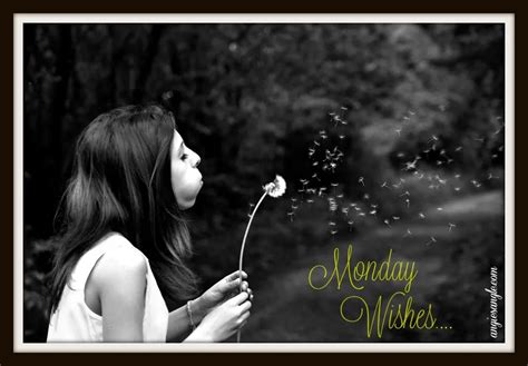 Monday Wishes