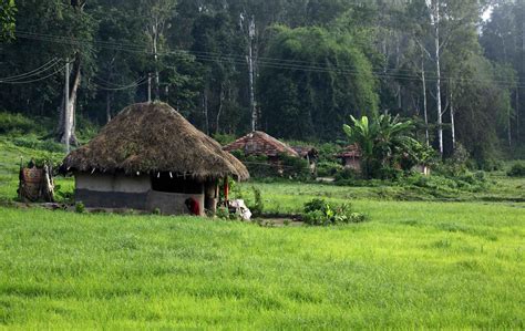 Visit To The Tribal Village of Wayanad - Travel Toons Holiday Services