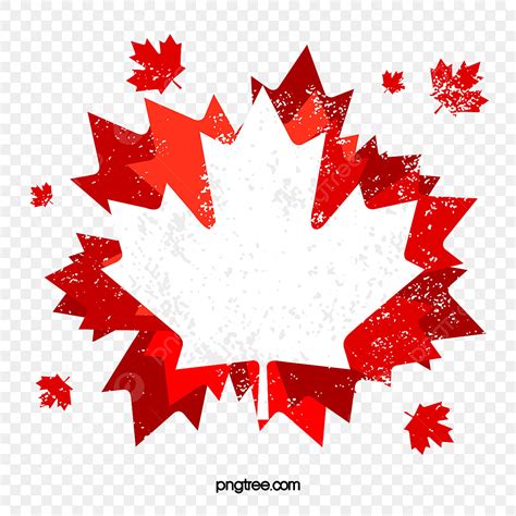 Canadian Maple Leaf PNG Picture, Canadian Flag Maple Leaf Around ...