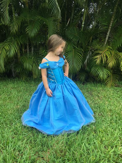 Disney Princesses Cinderella Costume