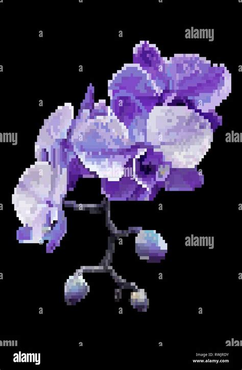 Purple meadow flowers pixel art Stock Vector Image & Art - Alamy