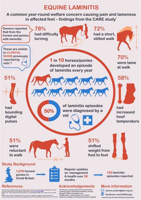 Laminitis in horses causes treatment the british horse society – Artofit