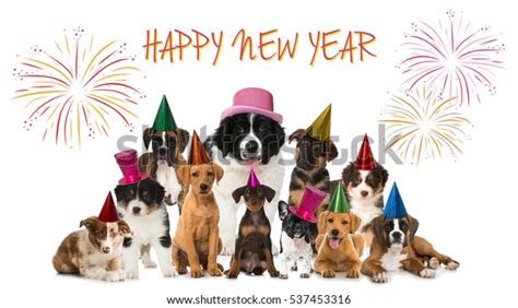 Happy New Year Puppies Stock Photo 537453316 | Shutterstock