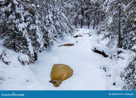 Frozen Over Amnicon River and Waterfalls with Fresh Snow during Winter ...