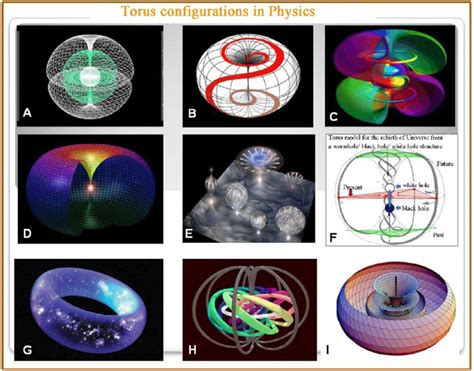 Various modalities of toroidal geometry: (A) Nested torus structure (B ...