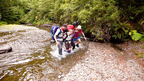 West Coast Custom Tour Photos | Hiking NZ