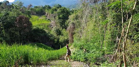 8-Day Trek, Pedal, & Paddle the Sarawak Rainforest (BM8B) - Paradesa ...