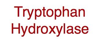 Enzyme to Know: Tryptophan Hydroxylase – Functional Performance Systems ...