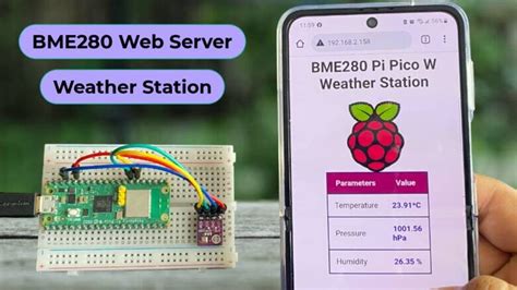 40+ Raspberry Pi Pico W IoT Projects with MicroPython/C