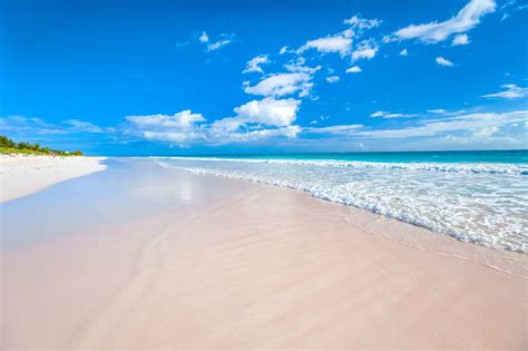 20 Amazing Things The Bahamas Is Known For | SANDALS