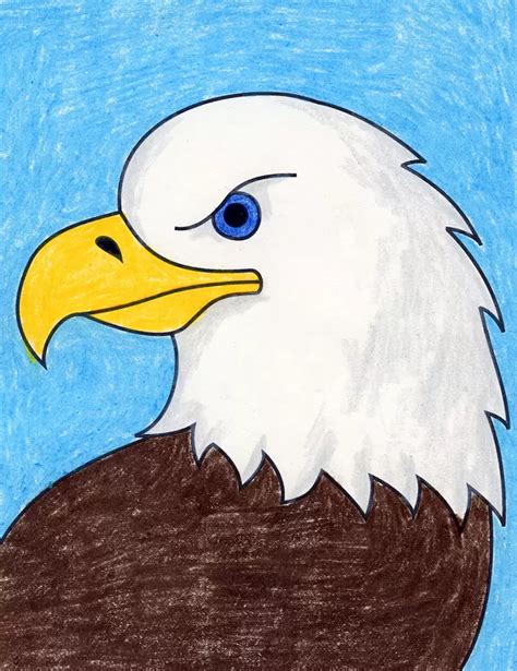 How To Draw A Bald Eagle Step By Step, 46% OFF | anhtao.com