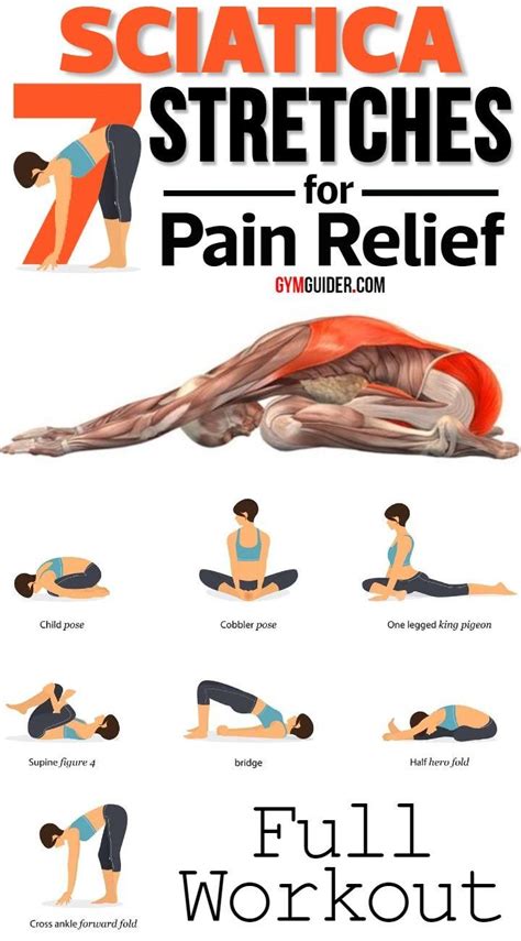 Printable Exercises For Sciatica Pain Relief