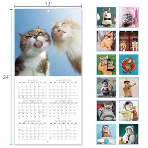 Snapklik.com : 2024 Wall Calendar - Funny Cat Calendar 2024, Jan 2024 ...