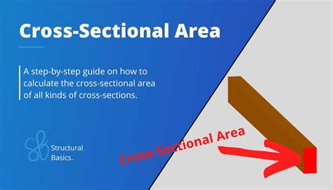 How to Calculate The Cross Sectional Area? [A Beginner’s Guide ...