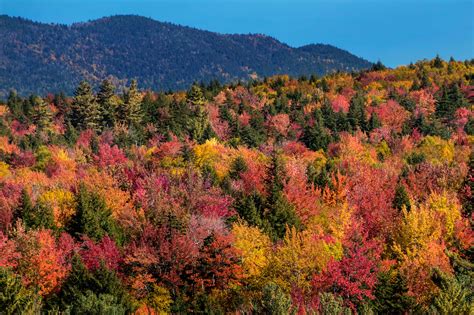 How to See New England Fall Foliage at Its Peak