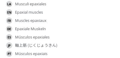 Epaxial muscles - e-Anatomy - IMAIOS