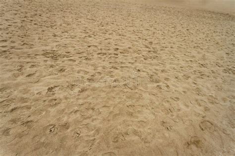 Beach sand texture stock photo. Image of silica, textured - 305147058