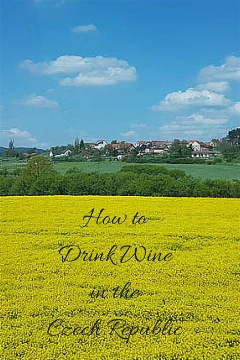 Czech Republic Wine - How To Travel To Taste Czech Wine - Wine Blog | Travel, Wine travel, Wine tour