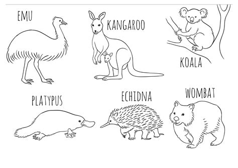 Coloring Pages Of Australian Animals