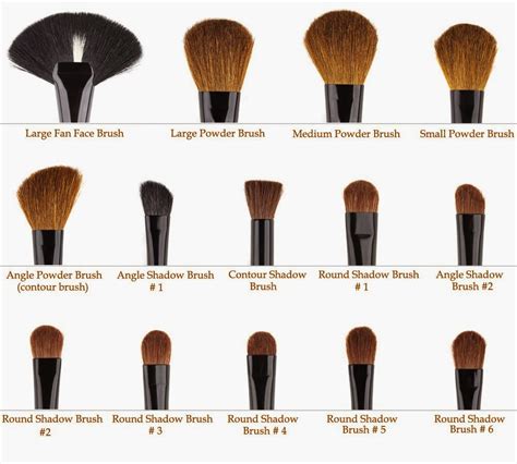 Eye Makeup Brushes Their Uses - Makeup Vidalondon